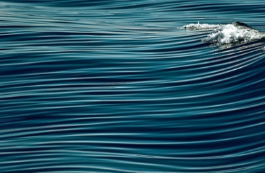 Happy World Ocean’s Day!