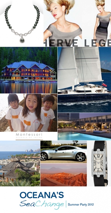 10 extraordinary items benefiting Oceana’s SeaChange 2012 Auction