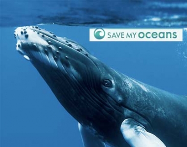 April 22: Save My Oceans tour