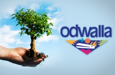 LUX Nation:&nbsp; Help Plant 100,000 Trees with Odwalla & US State Parks
