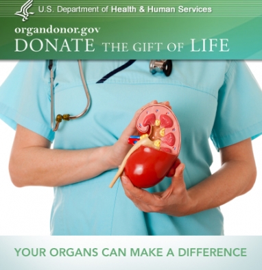 National Donor Day: Donating organs saves lives