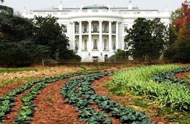 Organic Farming Gets a $50 Million Boost