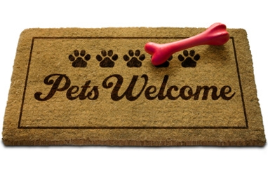 Travel Options for Pet Lovers, LUX style!