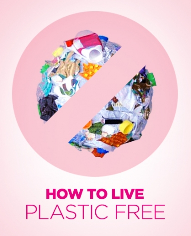 Living a Plastic-Free Lifestyle