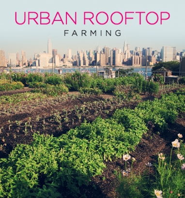 Eco-Friendly Farms In The Sky