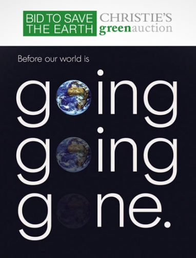 A Bid to Save the Earth 2012