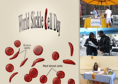 Honoring World Sickle Cell Day: Myths and truths about sickle cell