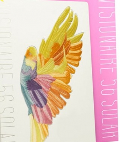 Visionaire 56 Solar: Color-Change Limited Edition Book
