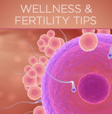 The Link Between Wellness and Fertility