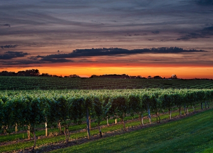 Favorite Wine-cation Destinations