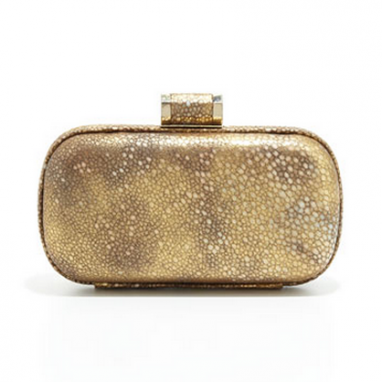 Gold Oblong Clutch